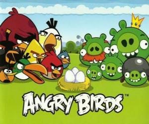 yapboz Kuşlar, yumurta ve Angry Birds yeşil domuzlar